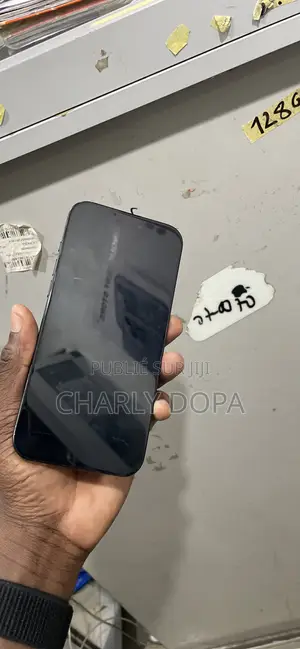 Apple iPhone 16 Pro Max 256 GB Noir