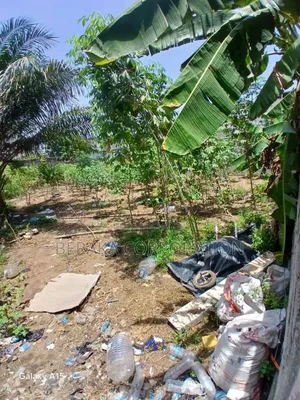 Terrain De 300m2 en Vente Route Abatta