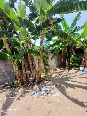 Terrain De 300m2 en Vente Route Abatta