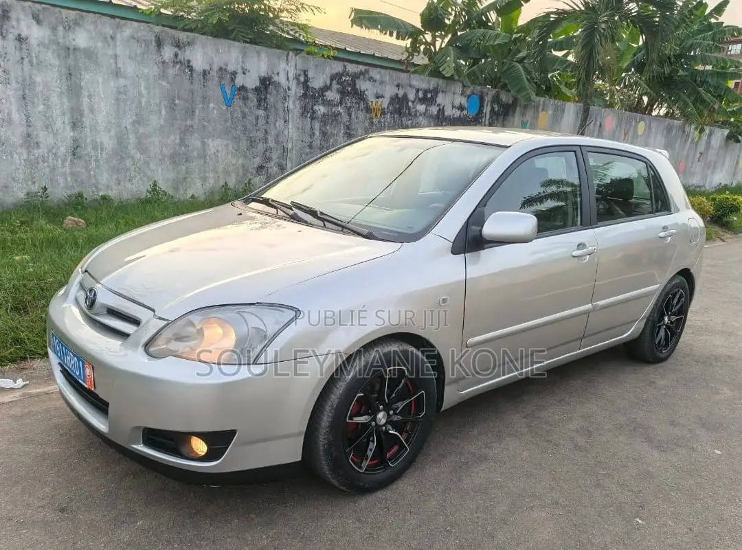 Toyota Corolla 2004 Gris