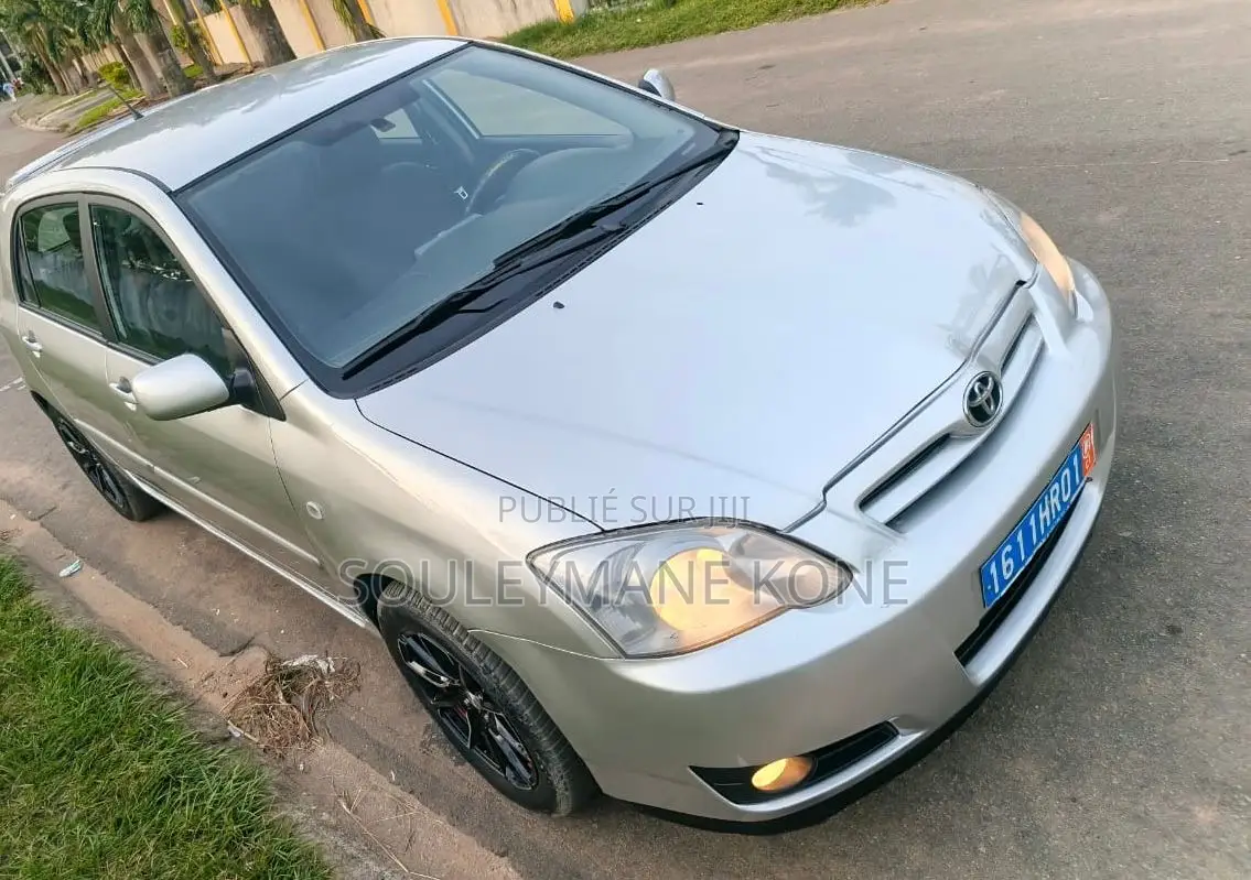 Toyota Corolla 2004 Gris