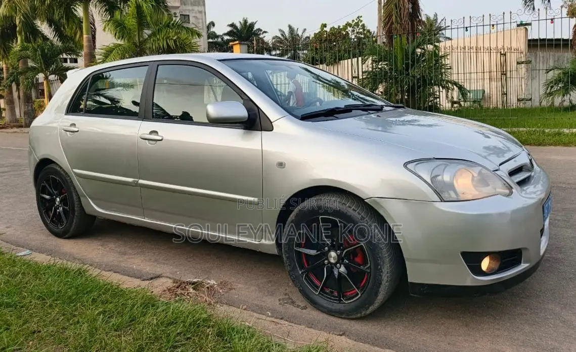 Toyota Corolla 2004 Gris