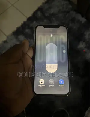 Apple iPhone 12 Pro 256 GB Gris