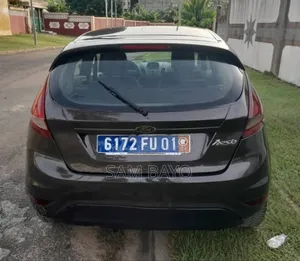 Ford Fiesta 2012 Gris