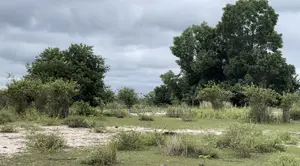 Terrain À Vendre Assinie