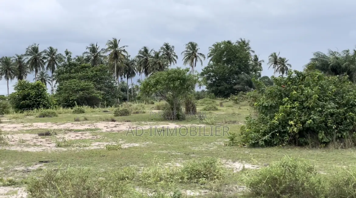 Terrain À Vendre Assinie