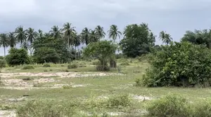 Terrain À Vendre Assinie