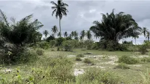 Terrain À Vendre Assinie