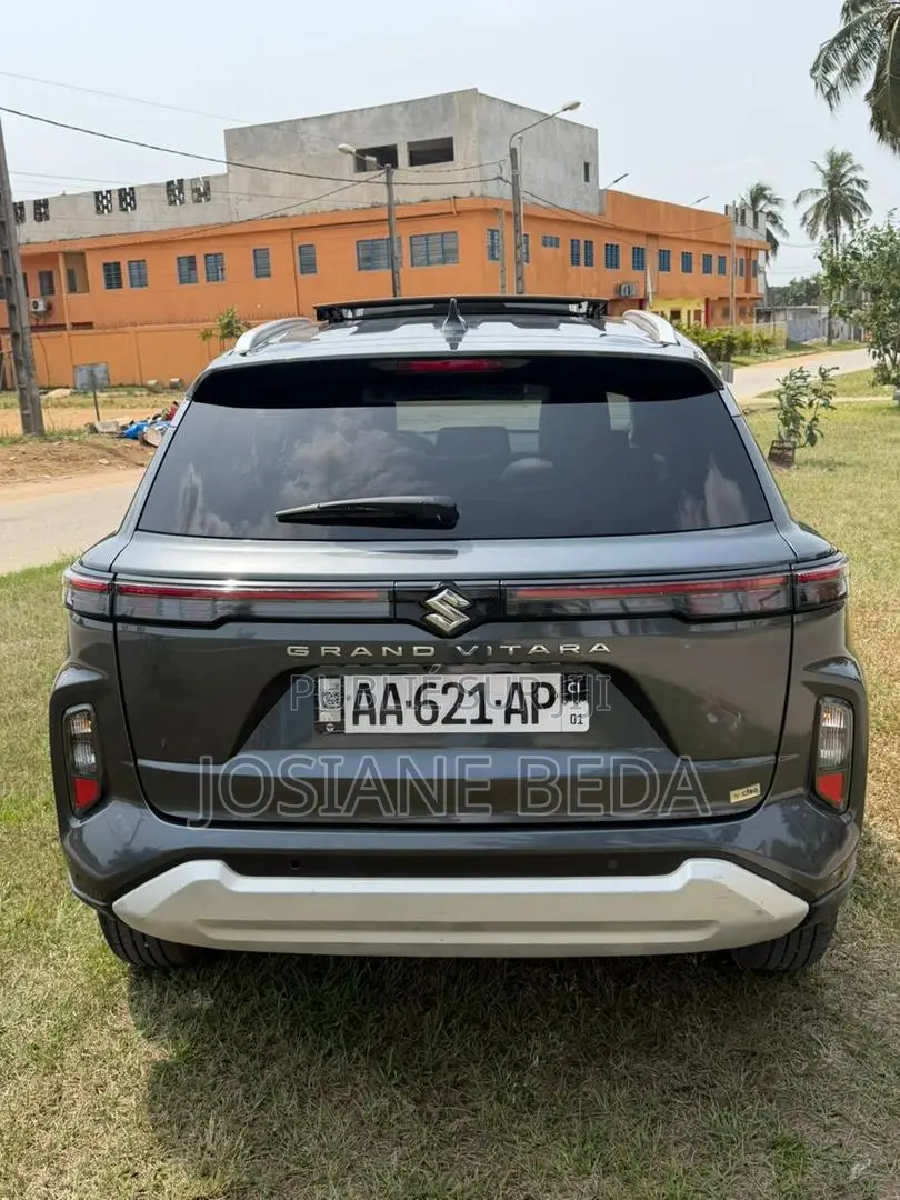 Suzuki Vitara 2024 Gris