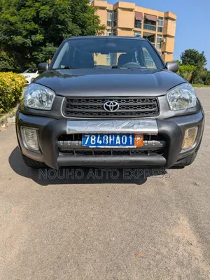 Toyota RAV4 2005 Gris