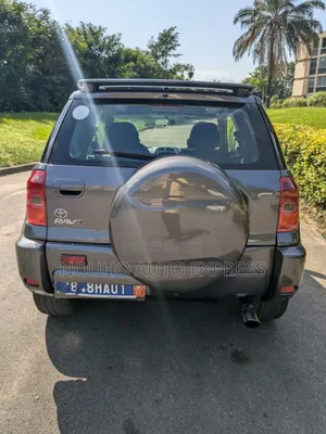 Toyota RAV4 2005 Gris