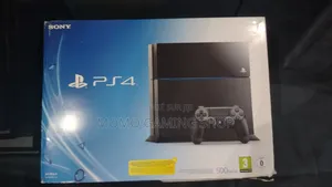 Ps4 Fat Standard 500gb De Stockage