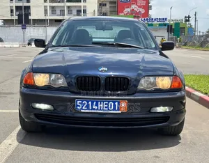 BMW 316i 2002 Bleu