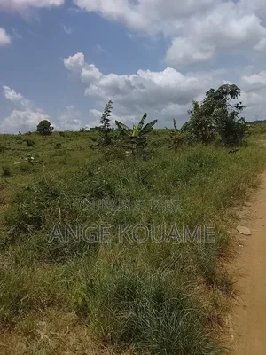 Terrain 400 M2 Approuvé a Andonkoi Songon