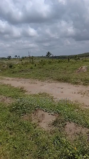 Terrain 400 M2 Approuvé a Andonkoi Songon