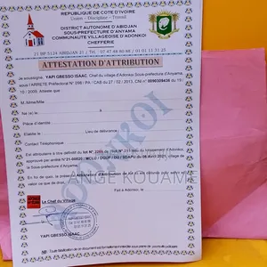 Terrain 400 M2 Approuvé a Andonkoi Songon