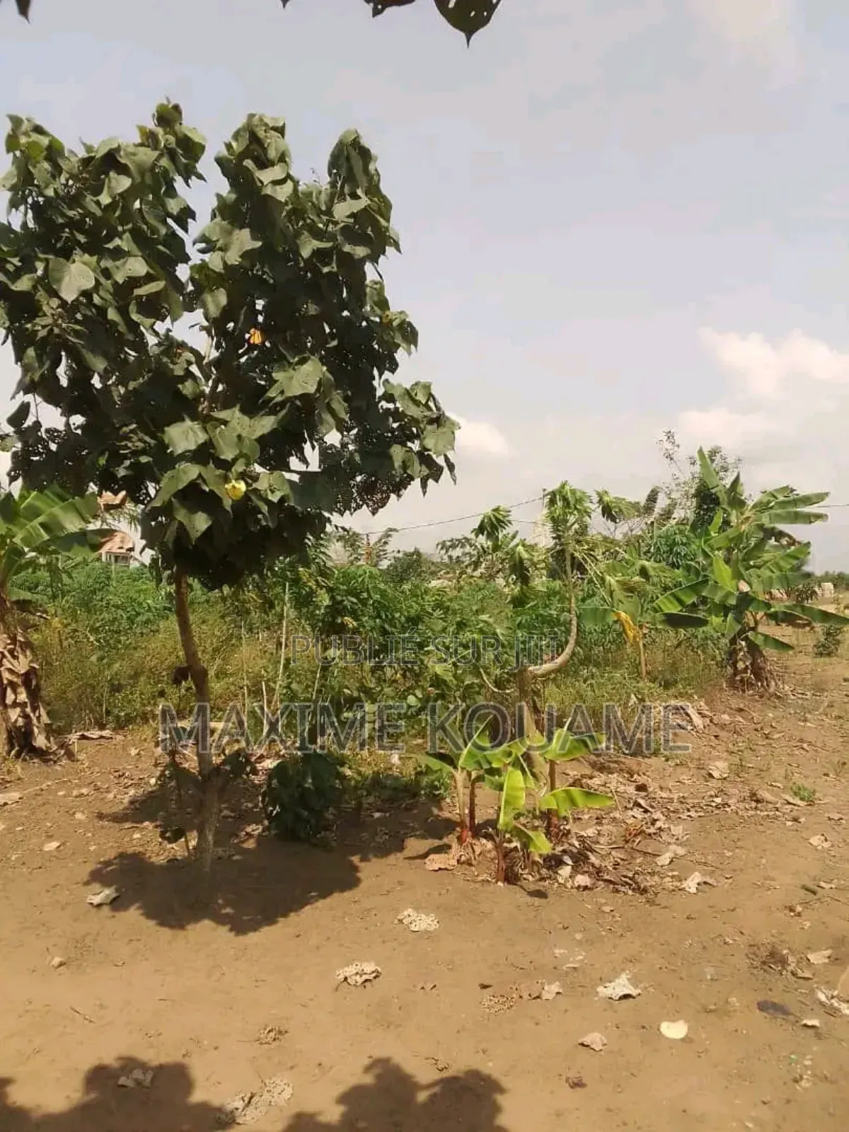 Offre Spéciale Sur Bingerville ( 02 Lots De Terrain en Vente Avec Acd)