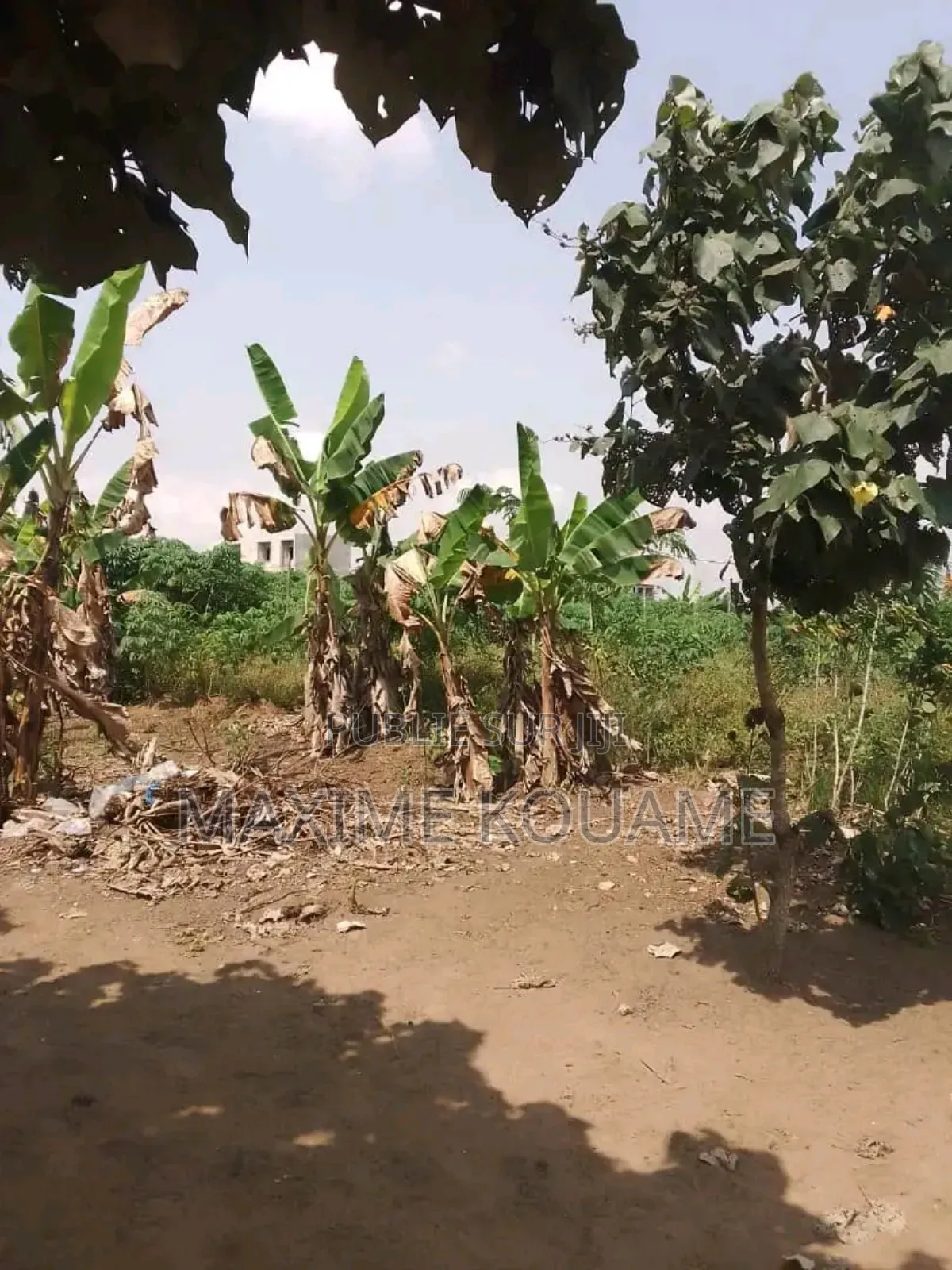 Offre Spéciale Sur Bingerville ( 02 Lots De Terrain en Vente Avec Acd)