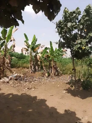 Offre Spéciale Sur Bingerville ( 02 Lots De Terrain en Vente Avec Acd)