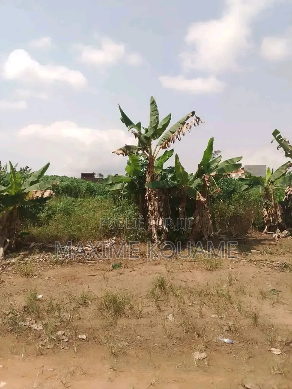 Offre Spéciale Sur Bingerville ( 02 Lots De Terrain en Vente Avec Acd)