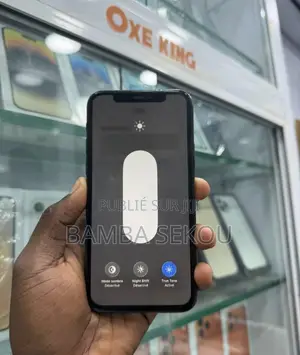 Nouveau Apple iPhone 11 Pro 256 GB Gris