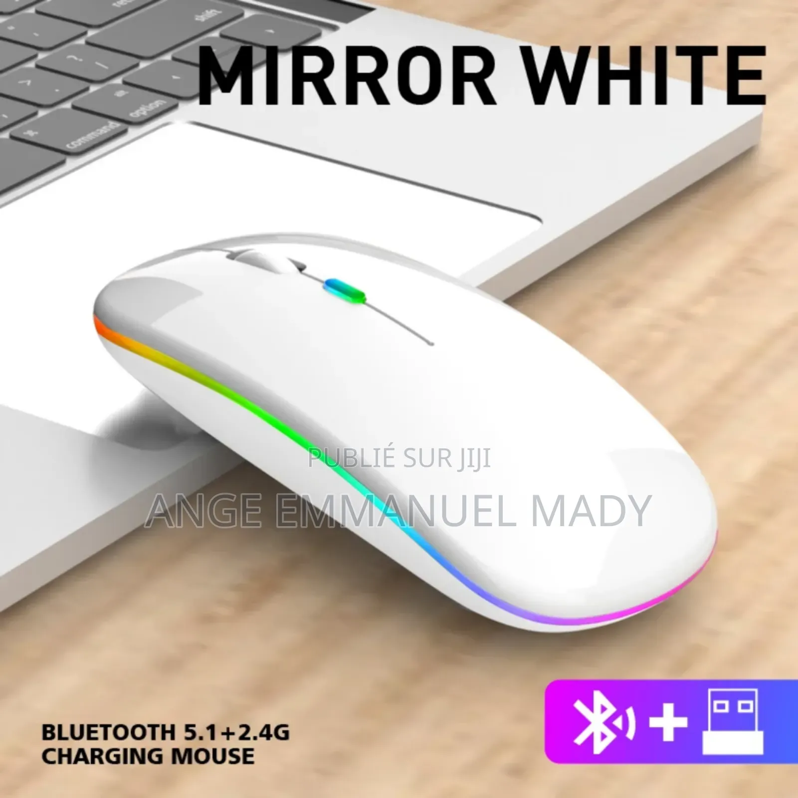 Souris Sans Fil Rechargeable