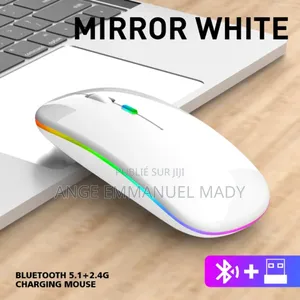 Souris Sans Fil Rechargeable