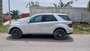 Mercedes-Benz M Class ML 350 4Matic 2007 Gris