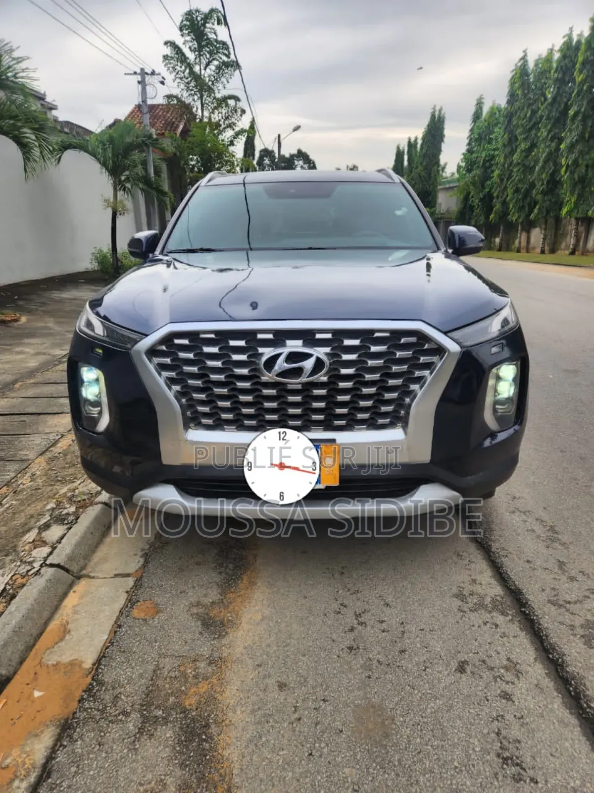 Hyundai Palissade Limited 2024 Bleu