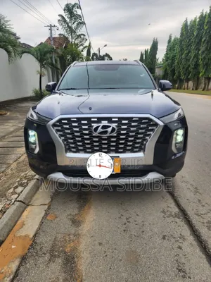 Hyundai Palissade Limited 2024 Bleu