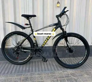 Vélo Électrique