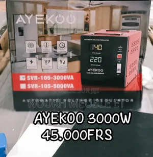 Stabilisateur Ayekoo 3000w