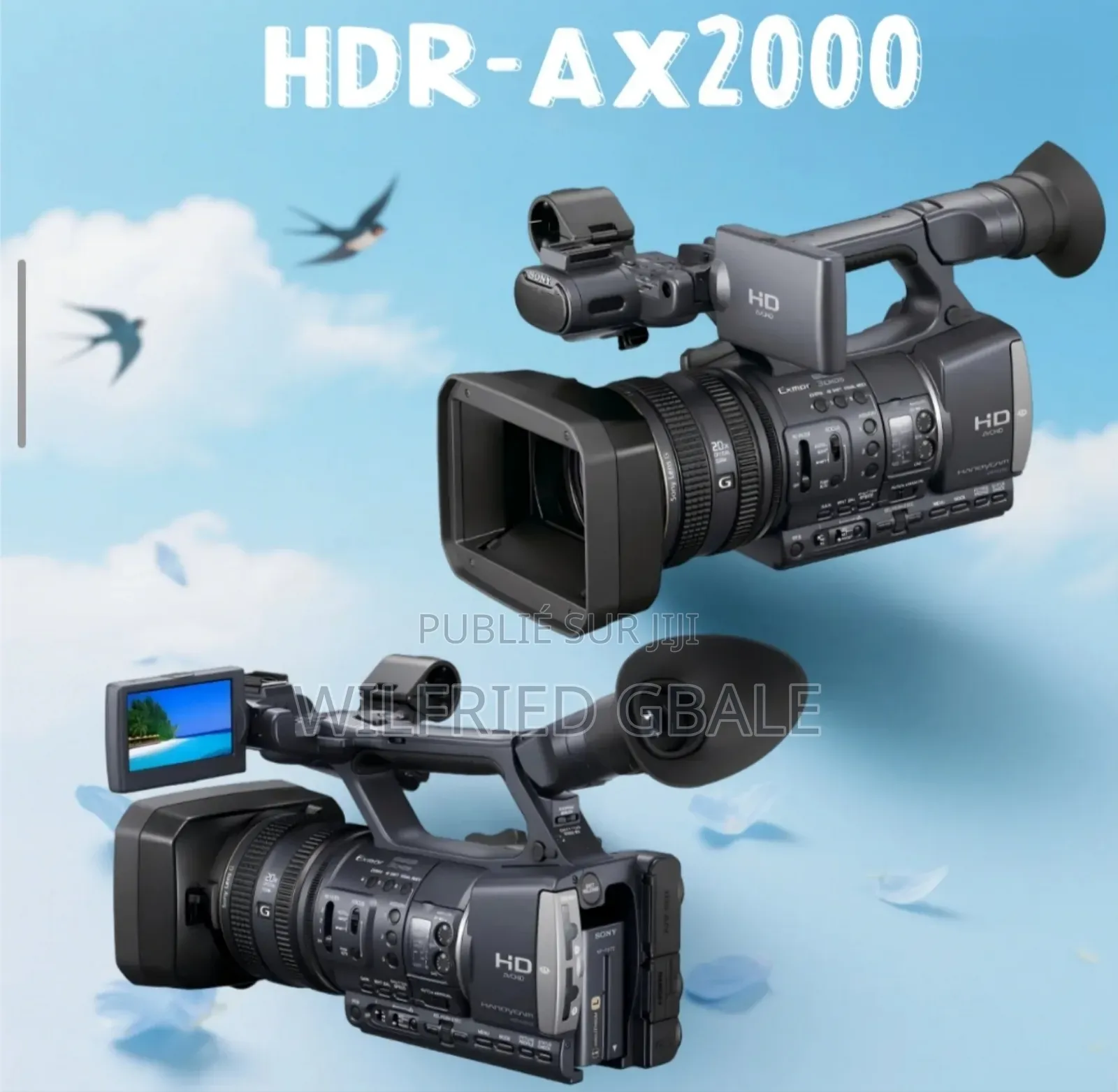 Caméra Professionnelle Sony Ax2000e Promo