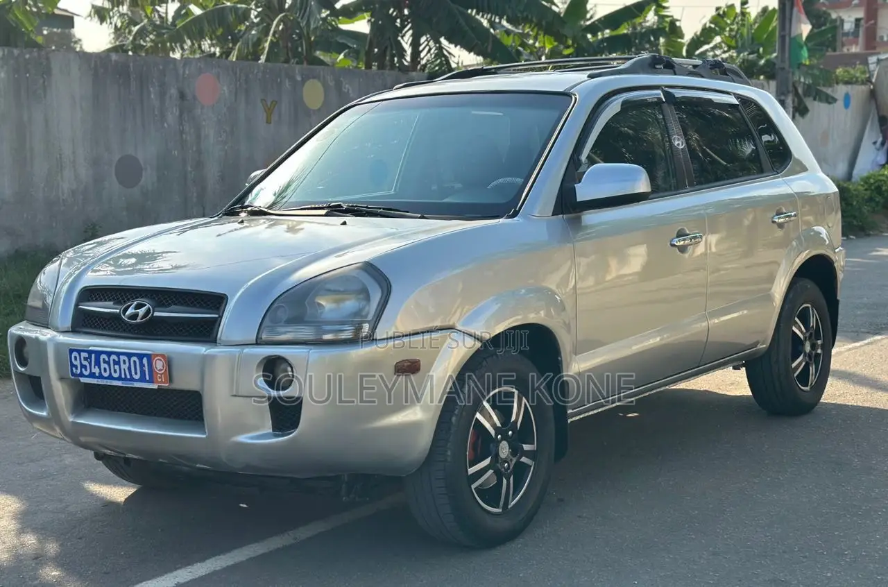Hyundai Tucson 2006 Gris