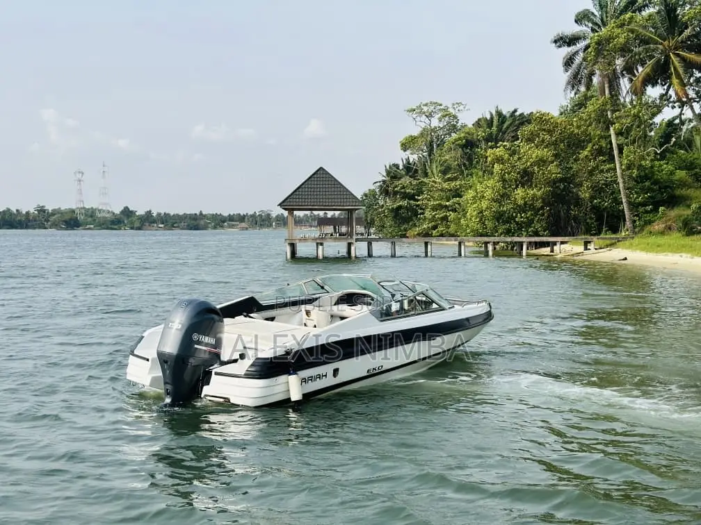 Bowrider Américain De La Marque Mariah 150cv Yamaha
