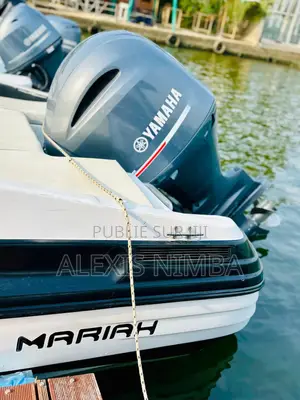 Bowrider Américain De La Marque Mariah 150cv Yamaha