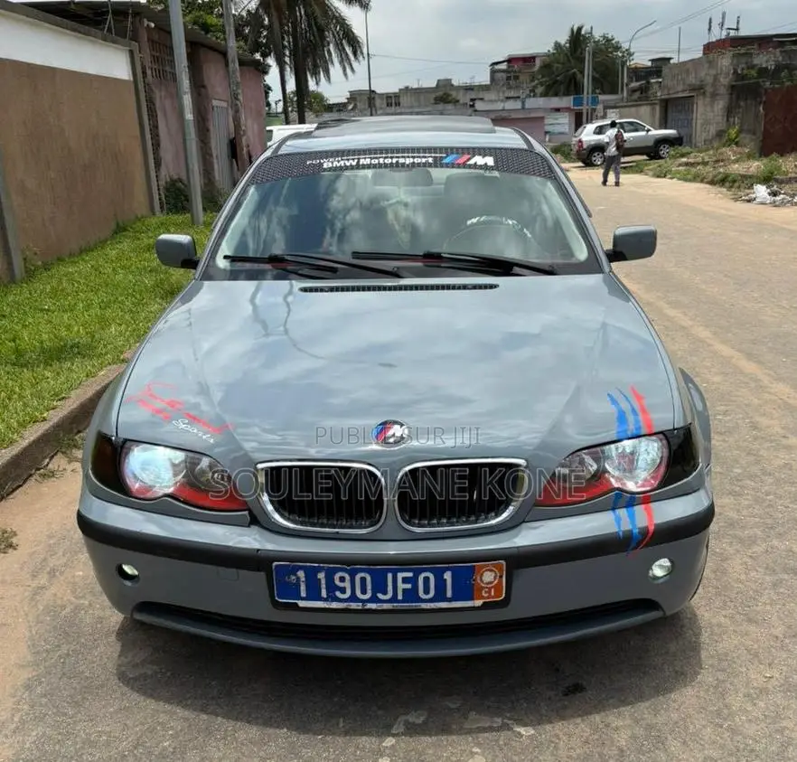 BMW 318i 2003 Gris