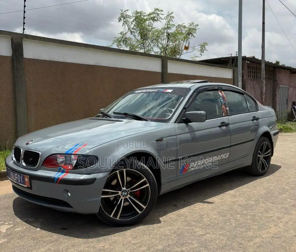 BMW 318i 2003 Gris