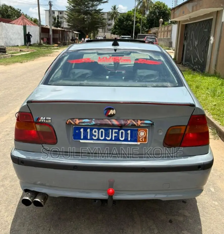 BMW 318i 2003 Gris