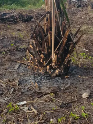 Terrain À Vendre À Attiekoi