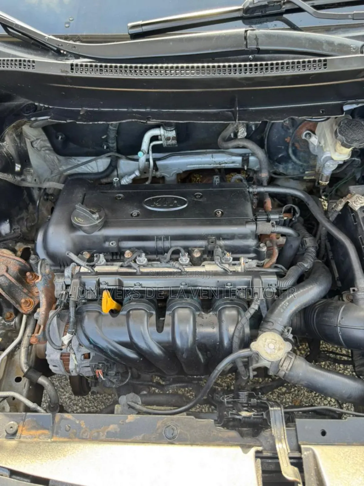 Nouveau Kia Rio LX 2023 Gris