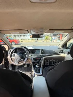 Hyundai Elantra 2017 Noir Mat