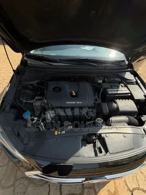 Hyundai Elantra 2017 Noir Mat