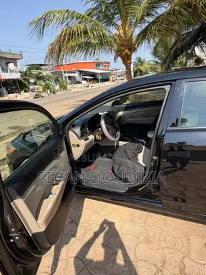 Hyundai Elantra 2017 Noir Mat