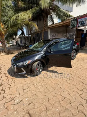 Hyundai Elantra 2017 Noir Mat