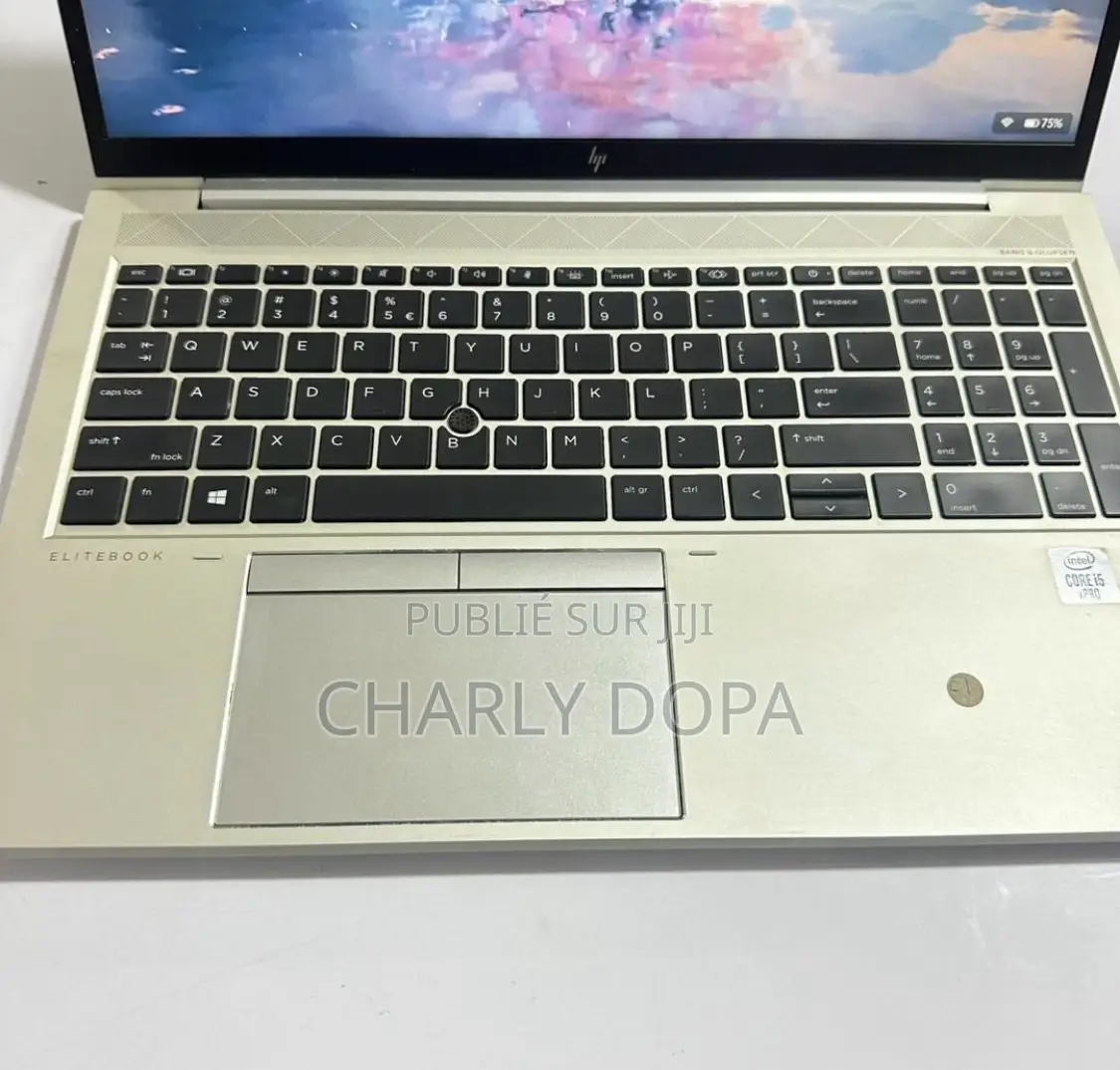 Ordinateur portable HP EliteBook 850 G8 8GB Intel Core i5 SSD 256GB