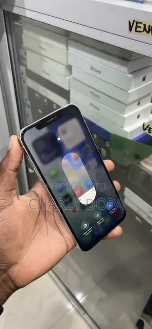 Apple iPhone 12 Pro Max 128 GB Blanc