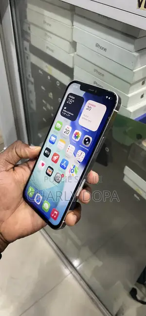 Apple iPhone 12 Pro Max 128 GB Blanc