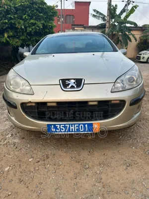 Peugeot 407 2004 Beige