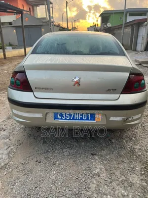 Peugeot 407 2004 Beige